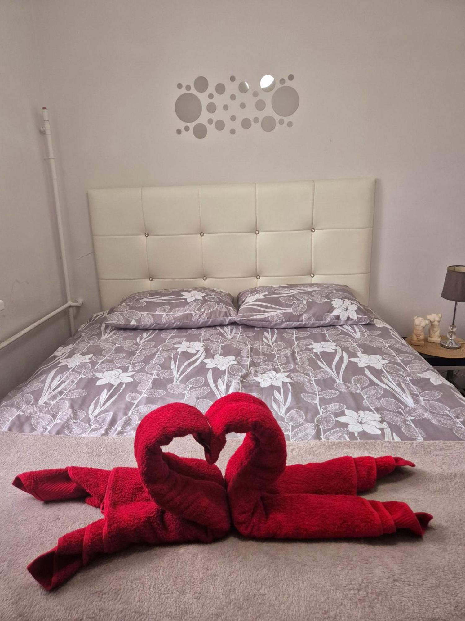 Apartament Zdunska Влоцлавек Екстер'єр фото